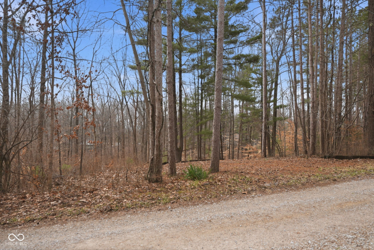 Listing Image 30