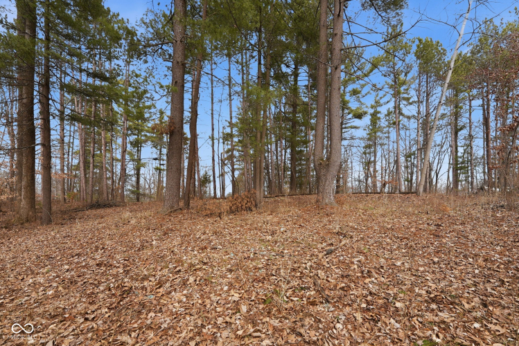 Listing Image 36