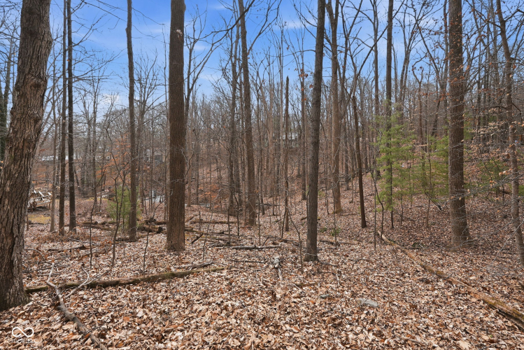 Listing Image 37