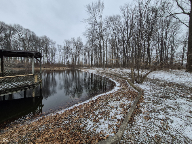 Listing Image 13