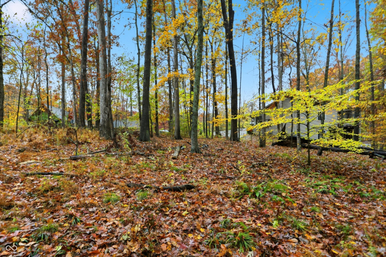 Listing Image 8