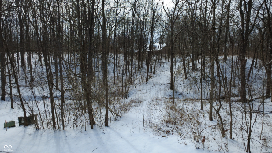 Listing Image 11