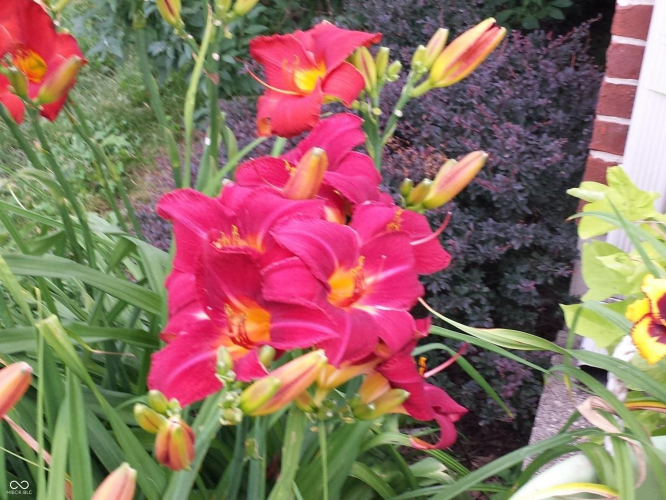 Listing Image 54