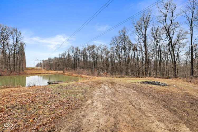 Listing Image 52