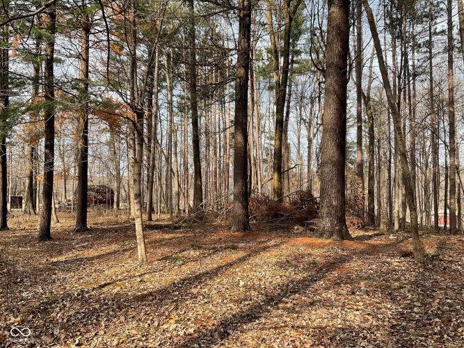 Listing Image 6