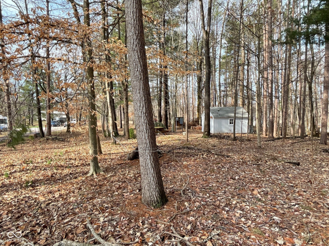 Listing Image 8