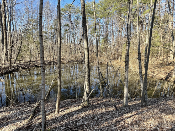 Listing Image 42