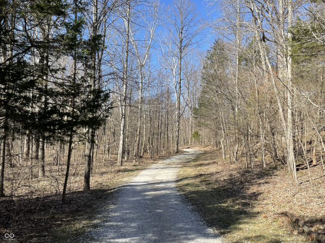 Listing Image 78