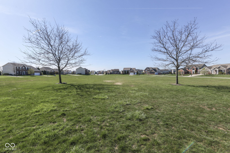 Listing Image 74