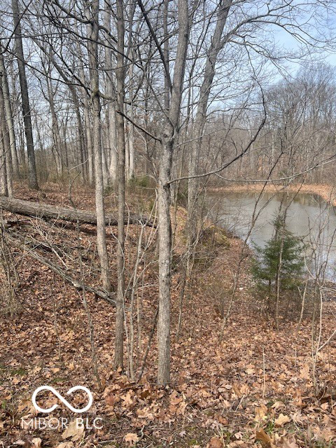 Listing Image 16