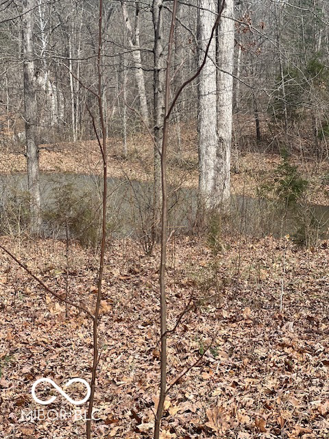 Listing Image 17
