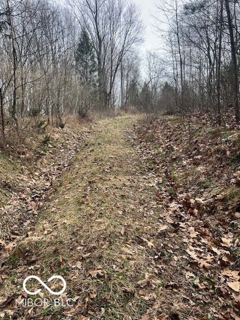 Listing Image 21