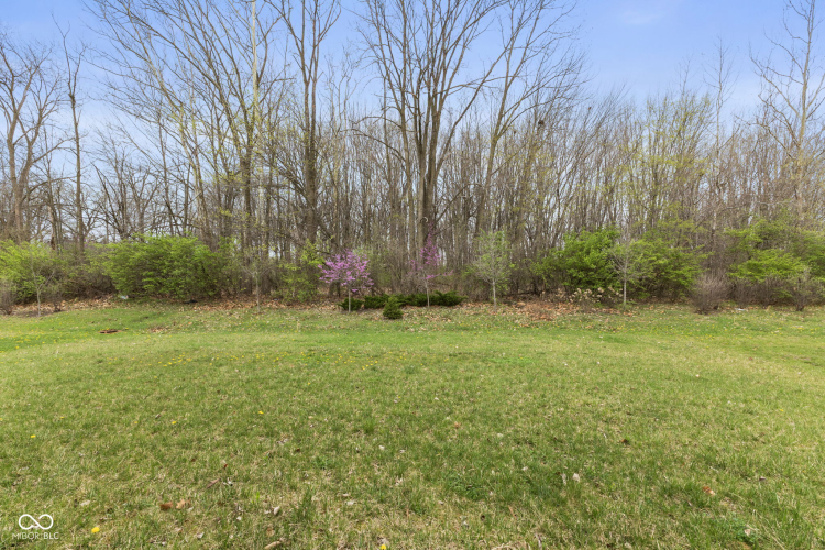 Listing Image 42