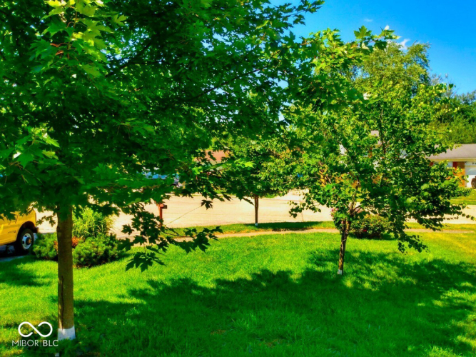 Listing Image 25