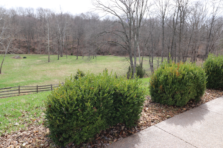 Listing Image 34