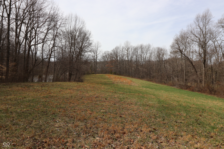 Listing Image 50