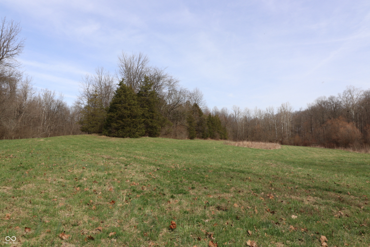 Listing Image 51