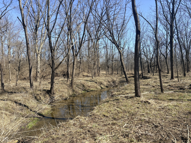 Listing Image 16
