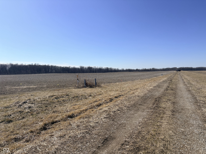 Listing Image 8