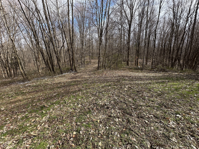 Listing Image 31