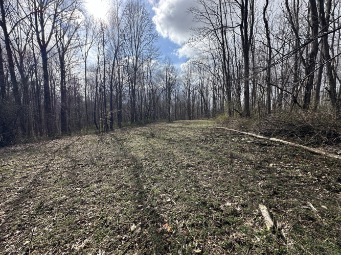 Listing Image 32