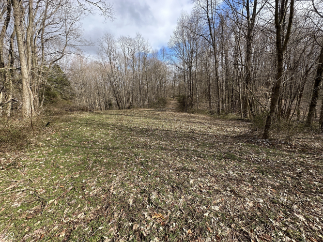 Listing Image 33