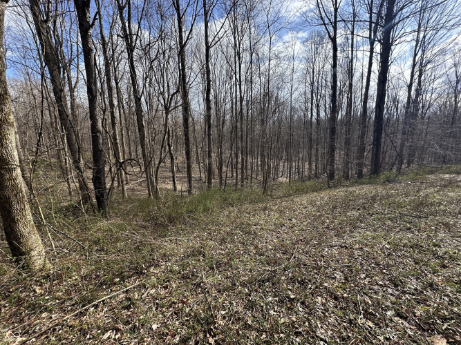 Listing Image 35