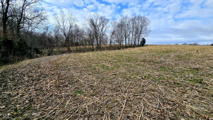 Listing Image 55