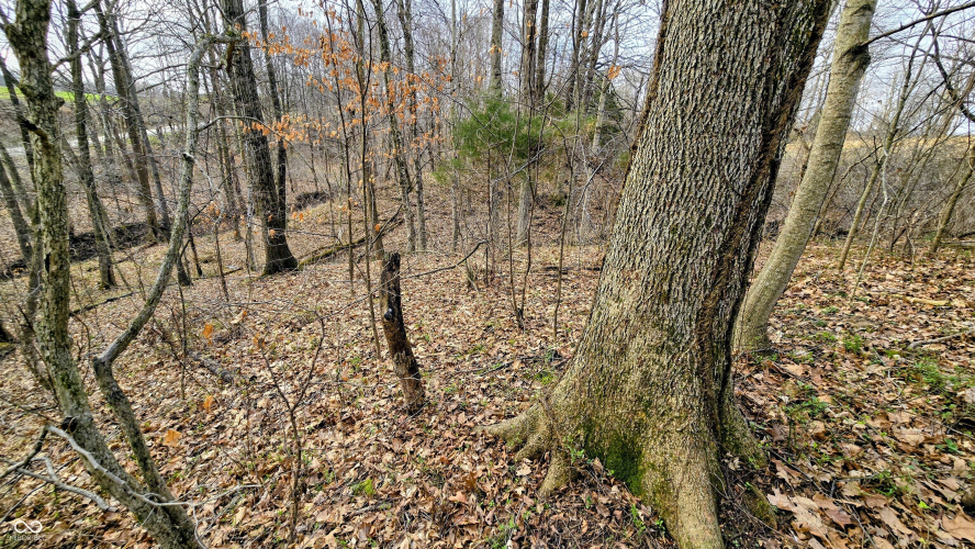 Listing Image 58