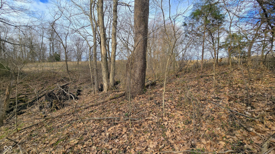 Listing Image 59