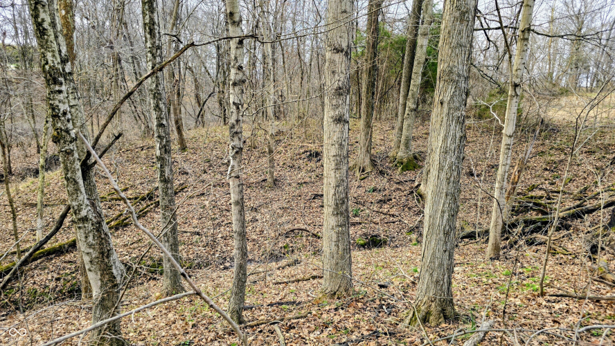 Listing Image 60