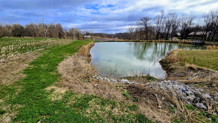Listing Image 62