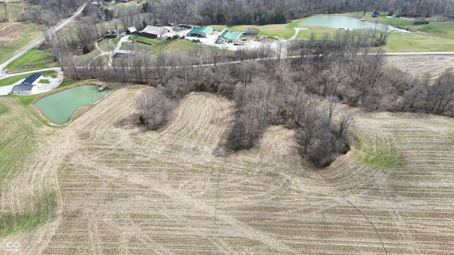 Listing Image 91