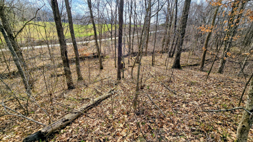 Listing Image 56
