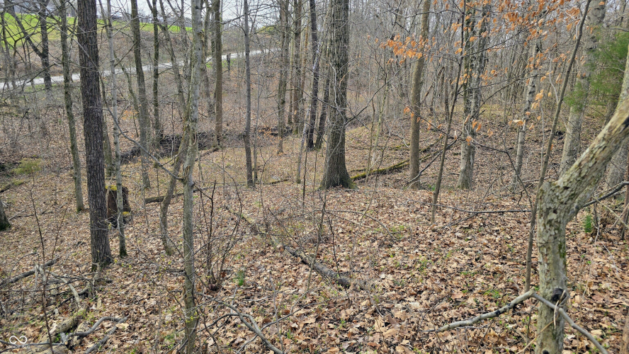 Listing Image 57