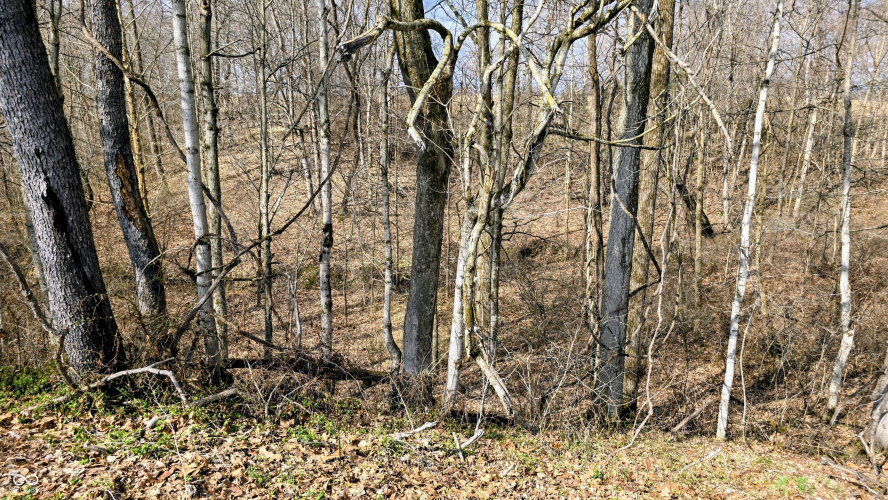 Listing Image 66