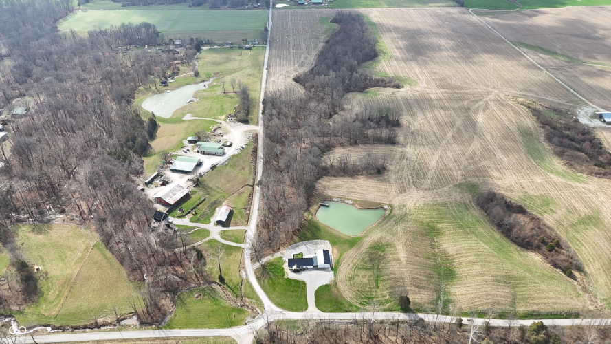 Listing Image 85