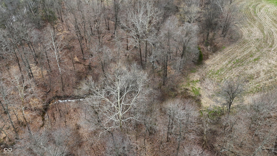 Listing Image 94