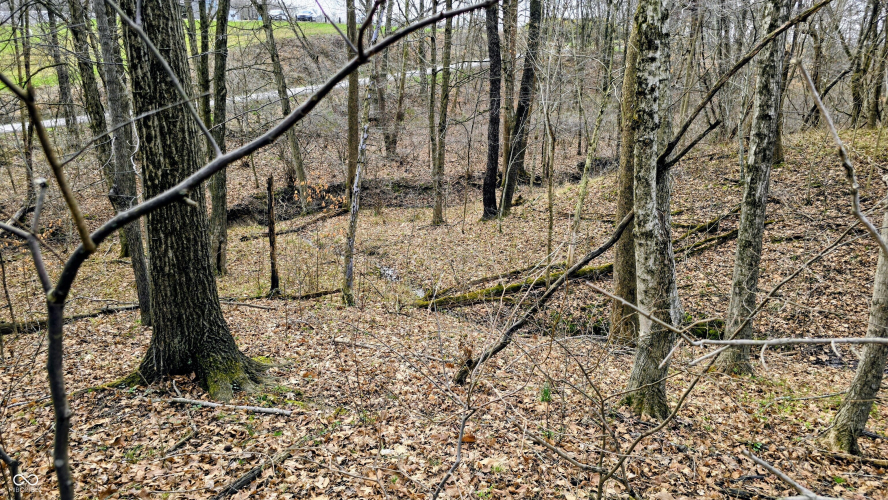 Listing Image 61