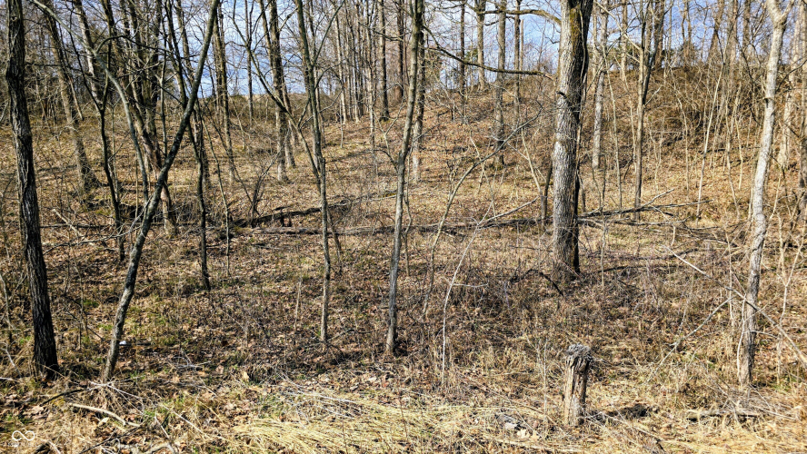 Listing Image 68
