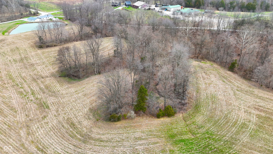 Listing Image 74