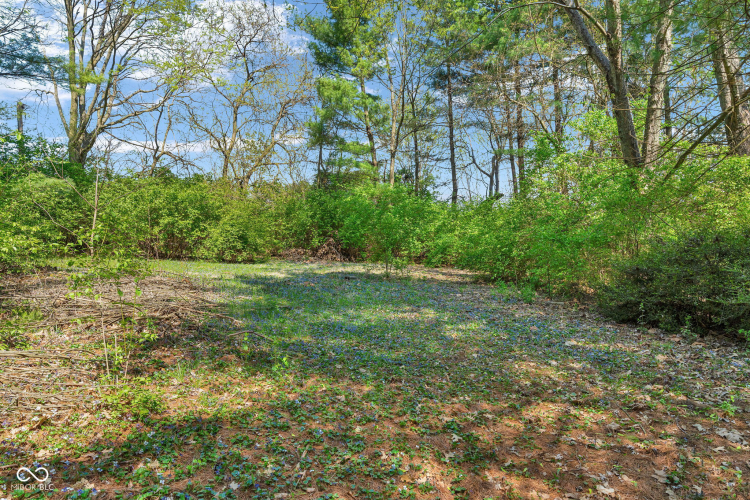 Listing Image 49