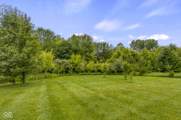 Listing Image 66