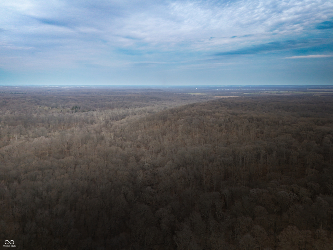 Listing Image 88