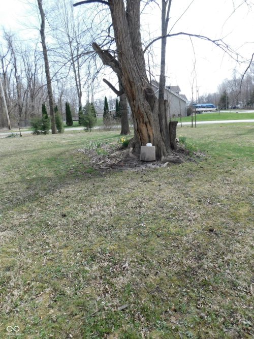 Listing Image 31