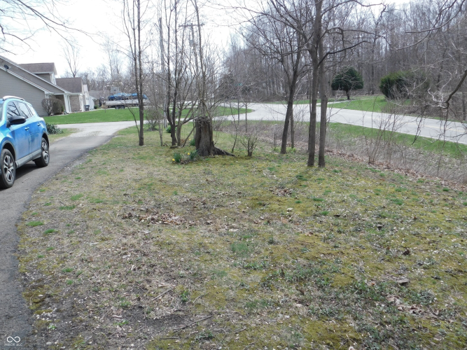 Listing Image 33
