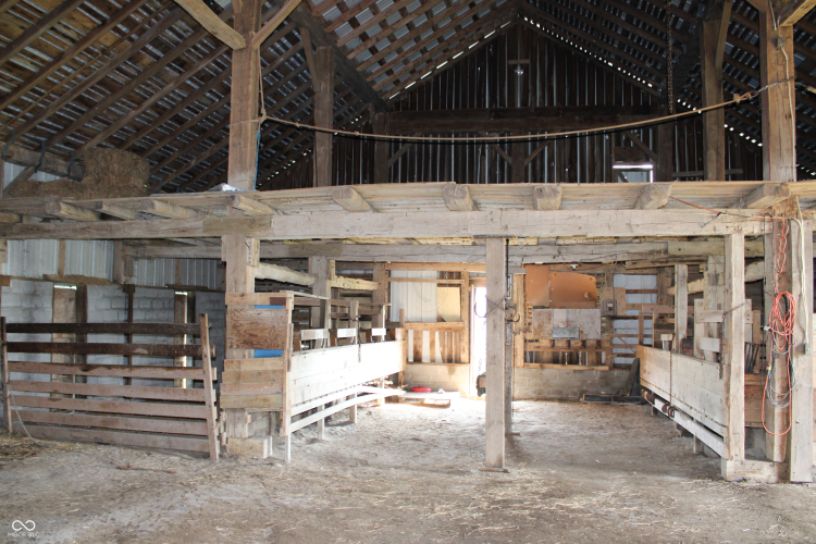 Listing Image 4