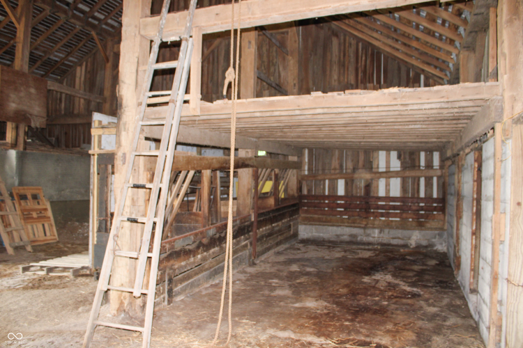 Listing Image 5