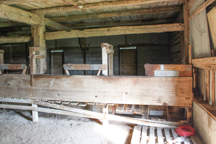 Listing Image 8