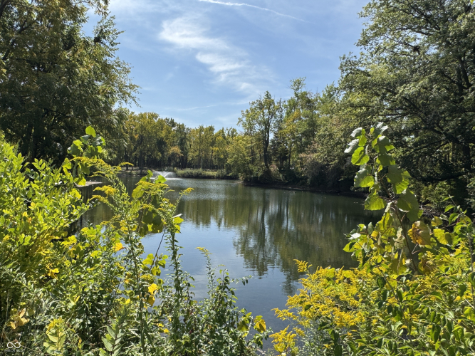 Listing Image 45